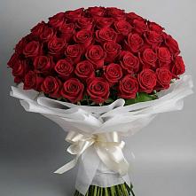Букет 101 Красная роза Блэк Мэджик в Языково