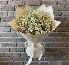 Букет цветов из:  Ромашки в Языково