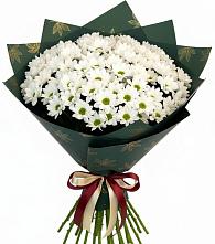 Букет цветов из:  Хризантемы #REPLACE_PRED# Языково