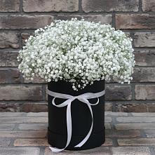 Цветочная композиция из Гипсофила в шляпной коробке в Языково