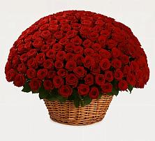 Премиум букет из: Розы в Языково